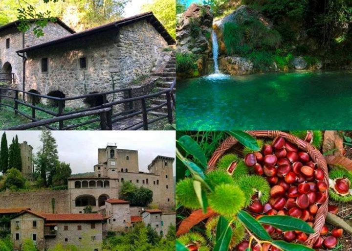 Casa Vì - Toscana, Lunigiana, near Cinque Terre Fivizzano Exterior foto
